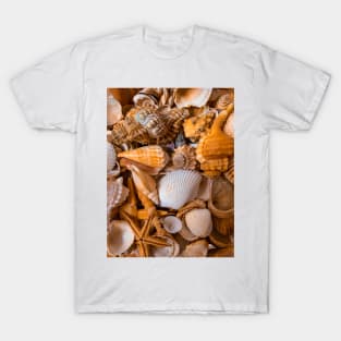 Summer Seashells Caribbean Sea Travel Relax Beach Yoga T-Shirt